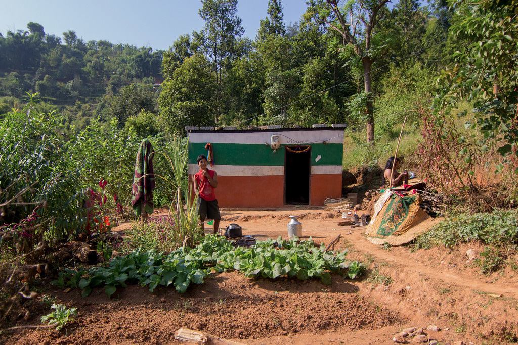 A villager growing vegetables in his garden